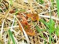 15 05 16_6306_edited-2
